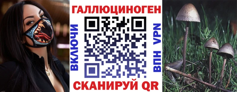 наркота  Еманжелинск  Псилоцибиновые грибы Magic Shrooms 